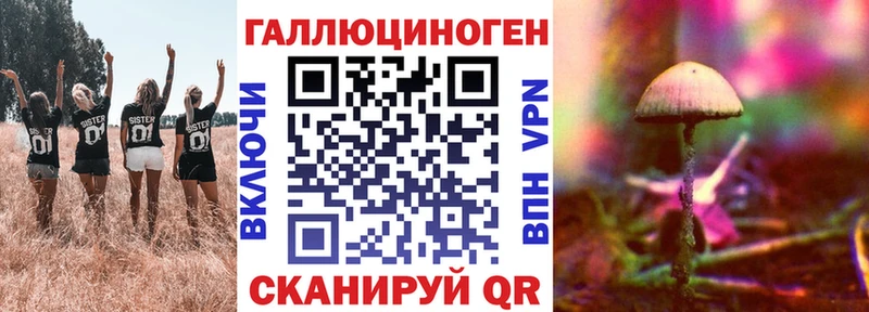 darknet телеграм  Комсомольск  Псилоцибиновые грибы Psilocybine cubensis 